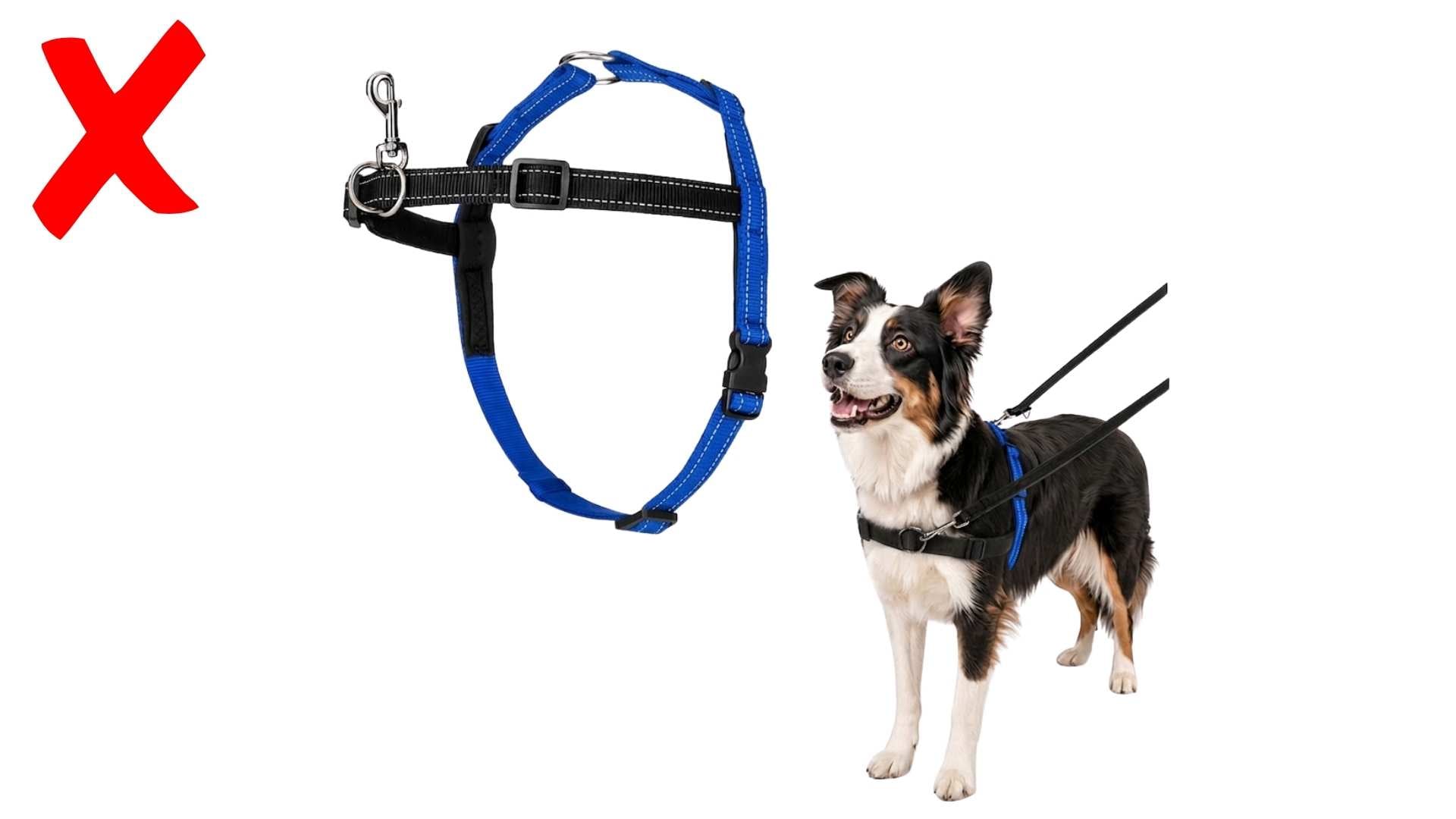 Arnés antitirones perros